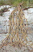 Sicily, Cava Ispica